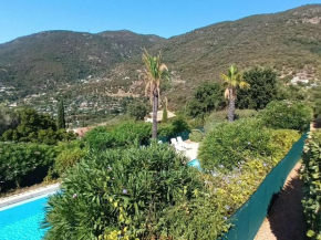 Villa à Cavalaire-sur-Mer avec piscine, sauna, parking et animaux acceptés - FR-1-226B-156